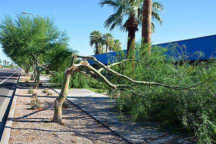 Scottsdale Storm Damage, September 28, 2014